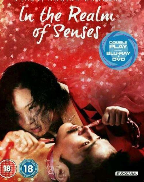 感官新世界,探索人类感知的无限奥秘