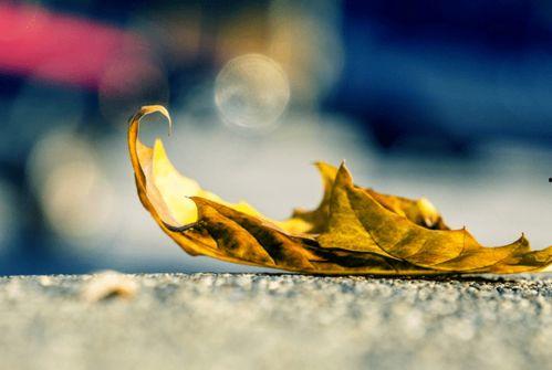 最美是人心,探寻世间最动人的风景