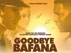 再见巴法纳,一段足球传奇的落幕与传承